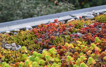 the cost of Bryanston green roof installation