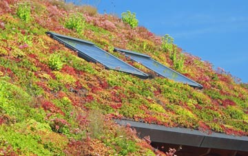 Bryanston living roof systems