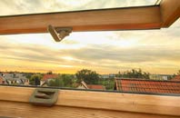 rated Bryanston roof window companies